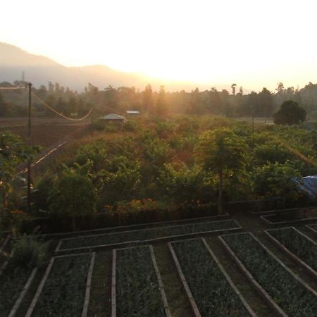 Forest Side Farm - Homestay At Kotabagh Near Nainital And Jim Corbett Zewnętrze zdjęcie