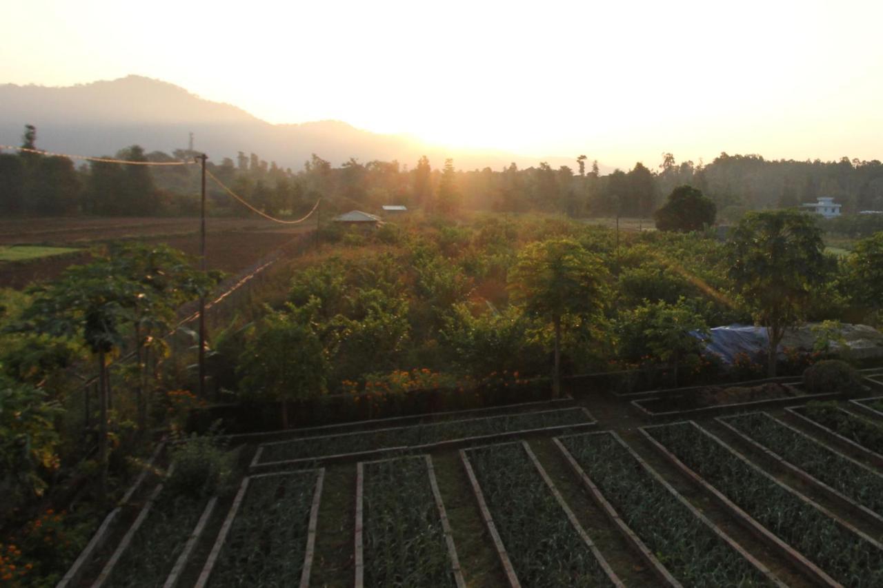 Forest Side Farm - Homestay At Kotabagh Near Nainital And Jim Corbett Zewnętrze zdjęcie