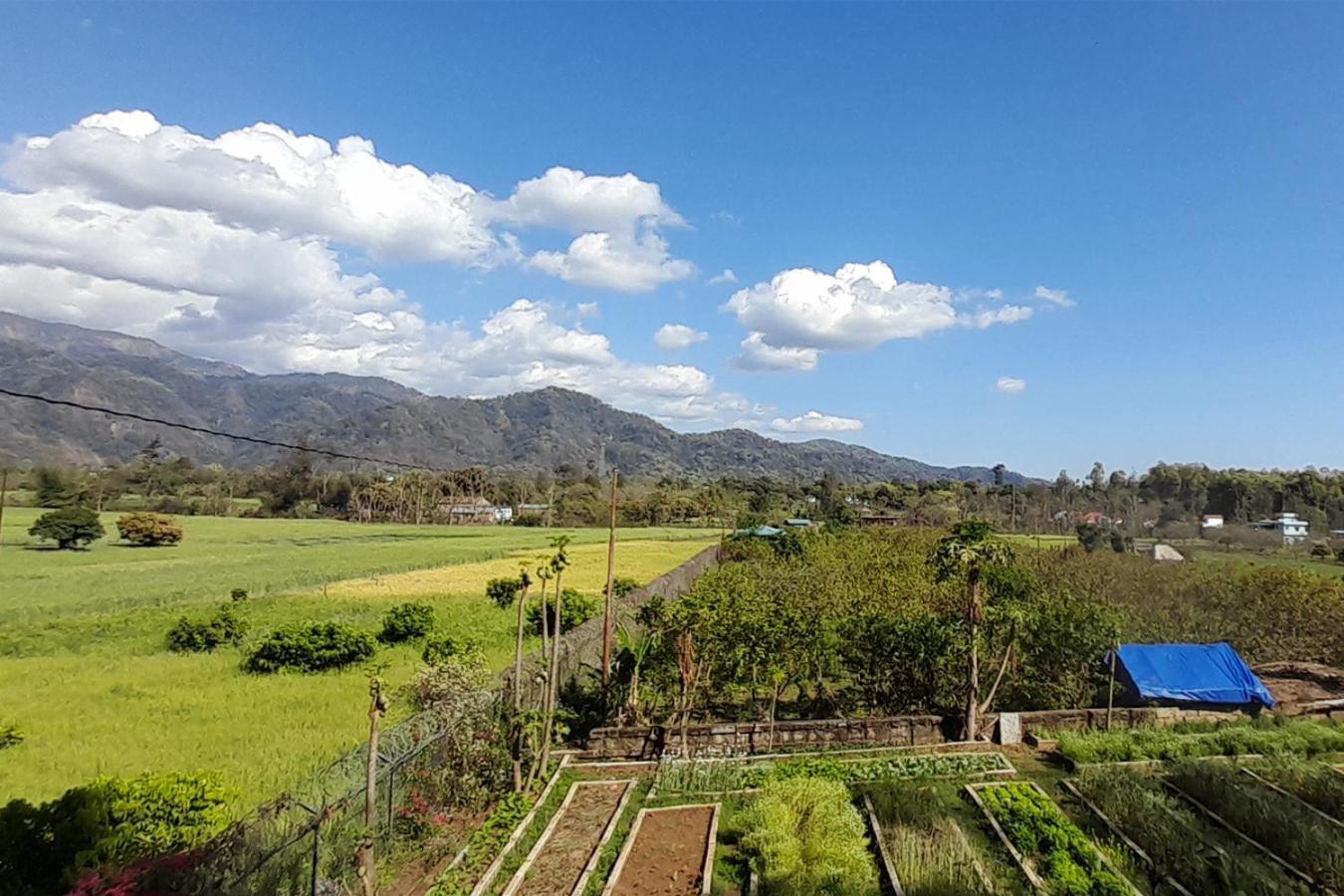 Forest Side Farm - Homestay At Kotabagh Near Nainital And Jim Corbett Zewnętrze zdjęcie